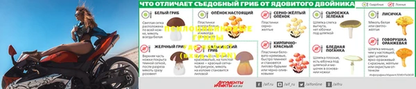 mix Козловка