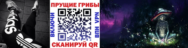 Галлюциногенные грибы MAGIC MUSHROOMS  Купить закладки  Шумерля 