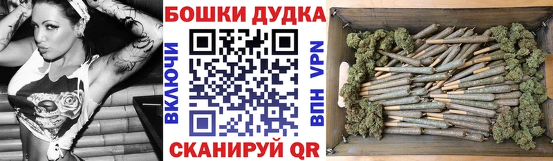 Купить где  Шумерля  Канабис OG Kush 